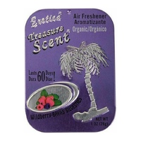 Exotica Treasure Scent Wildberry Tin 28G Car Air Freshener