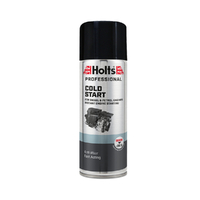 Holts Cold Start 400ml