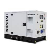11kVA Hyundai Single Phase Diesel Generator DHY9KSEM