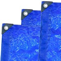 Loadmaster 90Gsm Blue Tarp With Reinforced Corners (4 x 6"³)