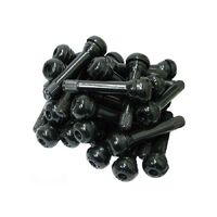 Protyre Tyre Valves 100Pc Snap-In Tubeless Suit Small Trucks