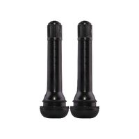 Protyre Tyre Valves 2Pc Snap-In Tubeless Suit Small Trucks