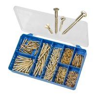 Torres 300pc Brass Plated Countersunk Wood Screws HAK31