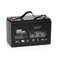 6-EVFJ-100 12V Ah Lead Crystal Deep Cycle Battery