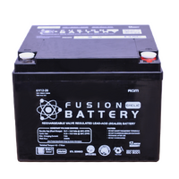 Fusion 12V 215CCA EV12-26 Electric Vehicle series Battery