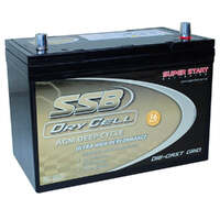 SSB 12V 100Ah Dry Cell Deep Cycle Battery