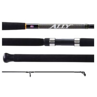6ft Penn Ally 4-8kg Fishing Rod - 2 Pce Spin Rod with Solid Tip