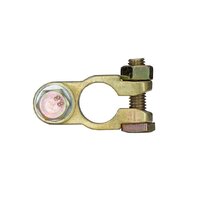 Battery Terminal Light Duty Negative Bolt 35mm â€“ 50mm