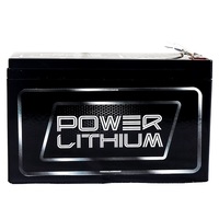 Power Lithium Iron Phosphate (LiFePO4) Battery 12.8V 9.5AH