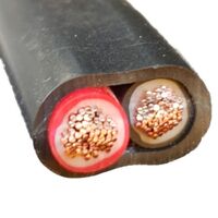 Twin Core 6mm Red and Black Cable Per Meter
