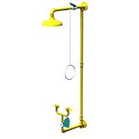 Wall Mounted Safety Shower and Eye/Face Wash Unit