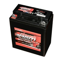 Loisiro - Batterie Moto RB12AL-A Conventionnelle 12V 12AH 150A - RIDER-TEC
