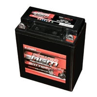 Power AGM 12V 12AH 200 CCAs Motorcycle Battery Positive on Right