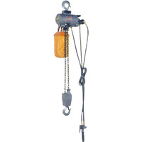 NPK 1000kg Air Hoist with 3m Lift With Pendant Control NPK-RHL1000(P)