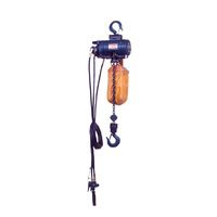 NPK 250kg Air Hoist with 3m Lift With Pendant Control NPK-RHL250(P)