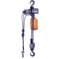 NPK 2800kg Air Hoist with 3m Lift Pendant Control NPK-RHL2800P