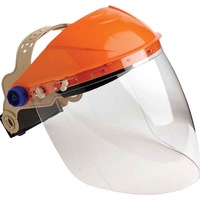 Browguard with Visor Clear Lens (Economy)