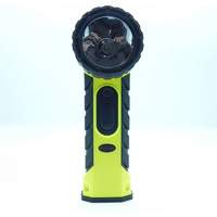 Intrinsically Safe LED Torch