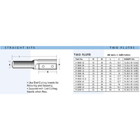 Carbitool 19mm Straight Bit with Replaceable 30mm Cutters R1930-1/2