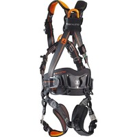 Proton Wind Premium Harnesses