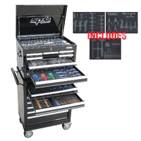 SP Tools 307 Piece 15 Drawer Custom Tool Kit - Black Metric/SAE SP50105X