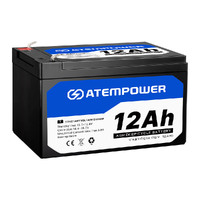 ATEM POWER 12AH AGM Battery 12V AMP Lead Acid SLA Deep Cycle Battery Dual Solar Power