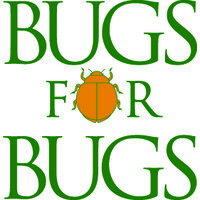 Bugs For Bugs